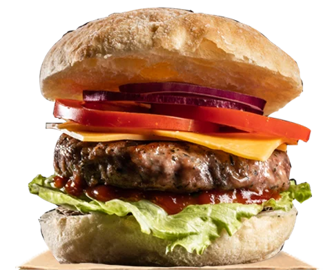 Cheese Burger